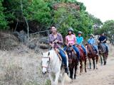  Oahu Tours